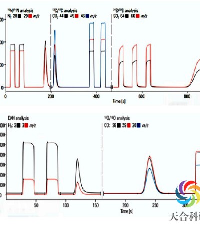 稳定同位素比质谱测试
