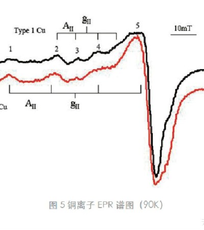 自旋顺磁共振测试